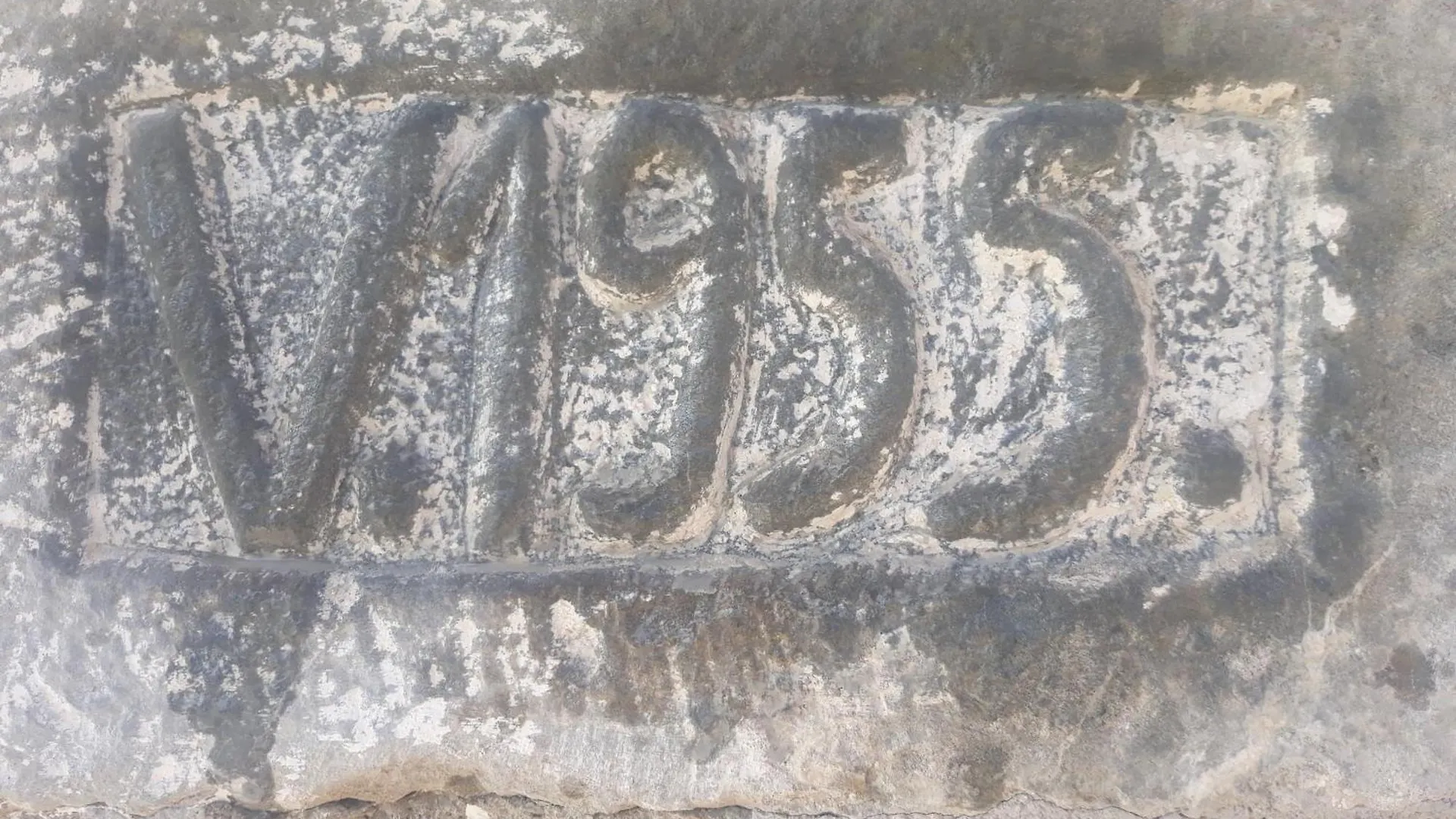Vila Disha Tirana Albanië