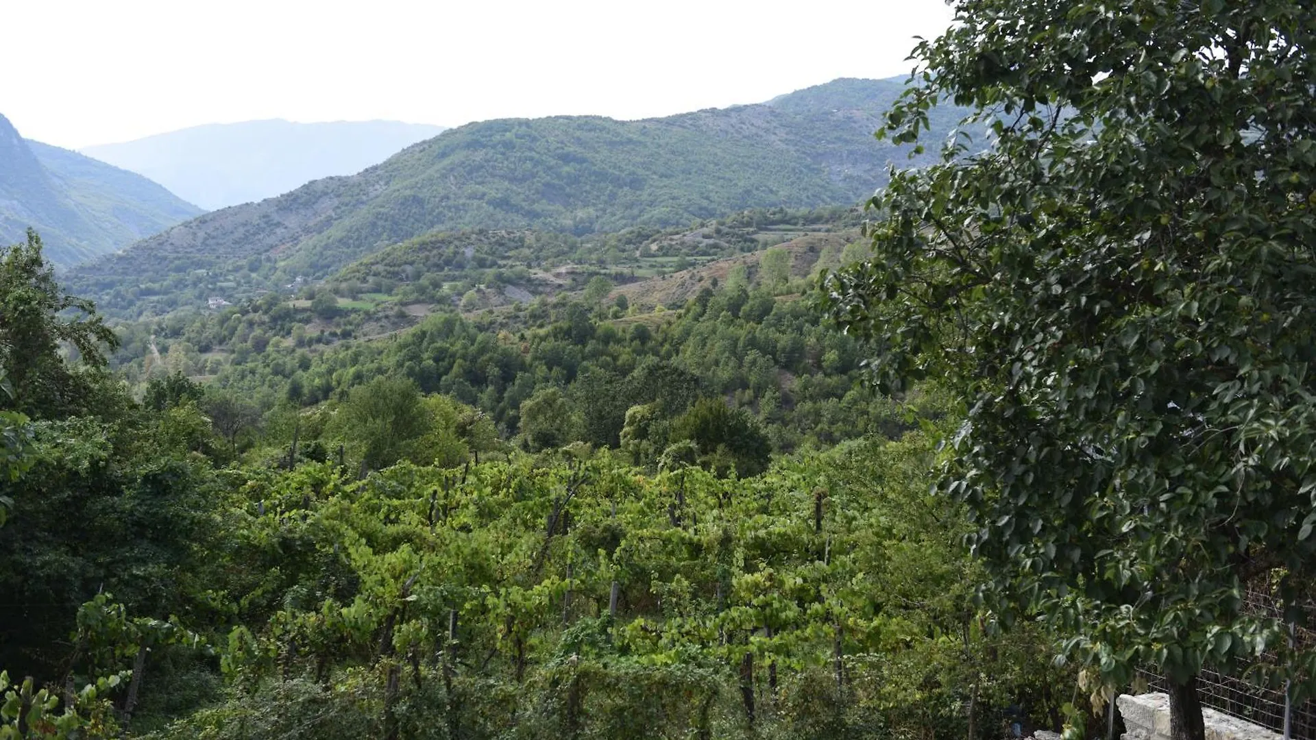 Lodge Vila Disha Tirana