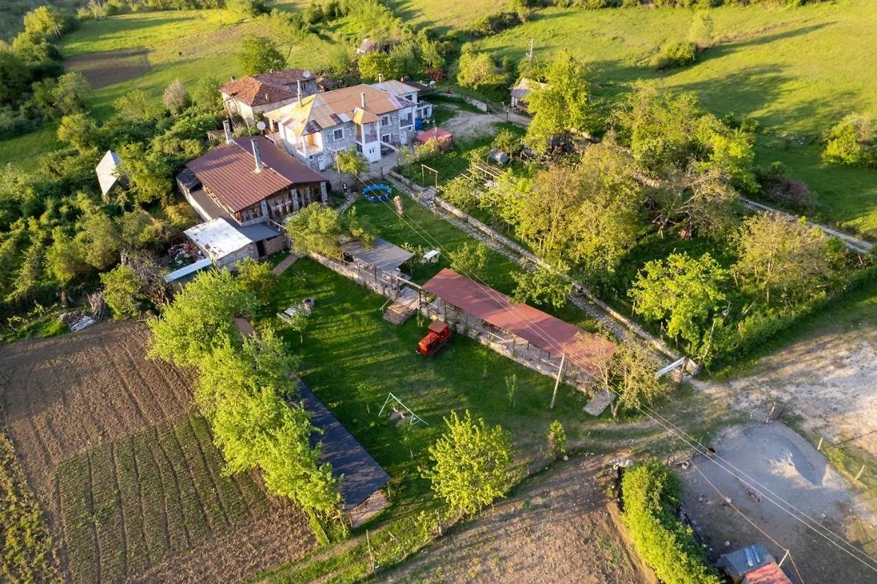 Vila Disha Tirana 0*,  Albanië