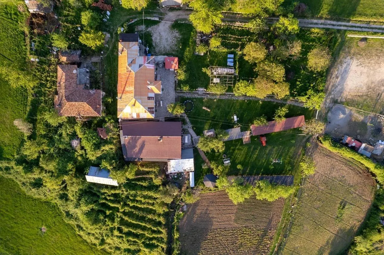 Vila Disha Tirana Lodge